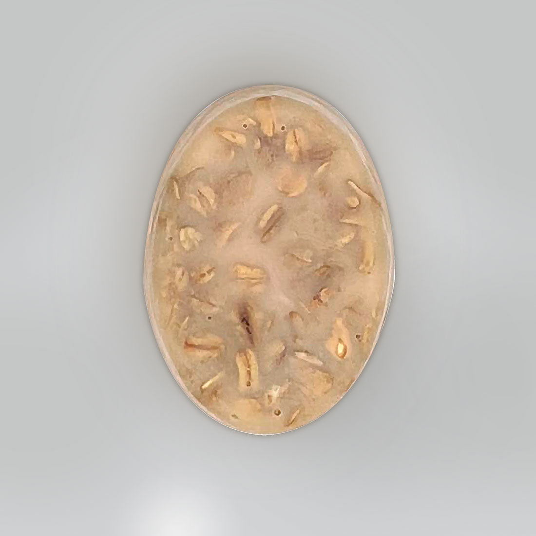 shampoo para mascota ovalada