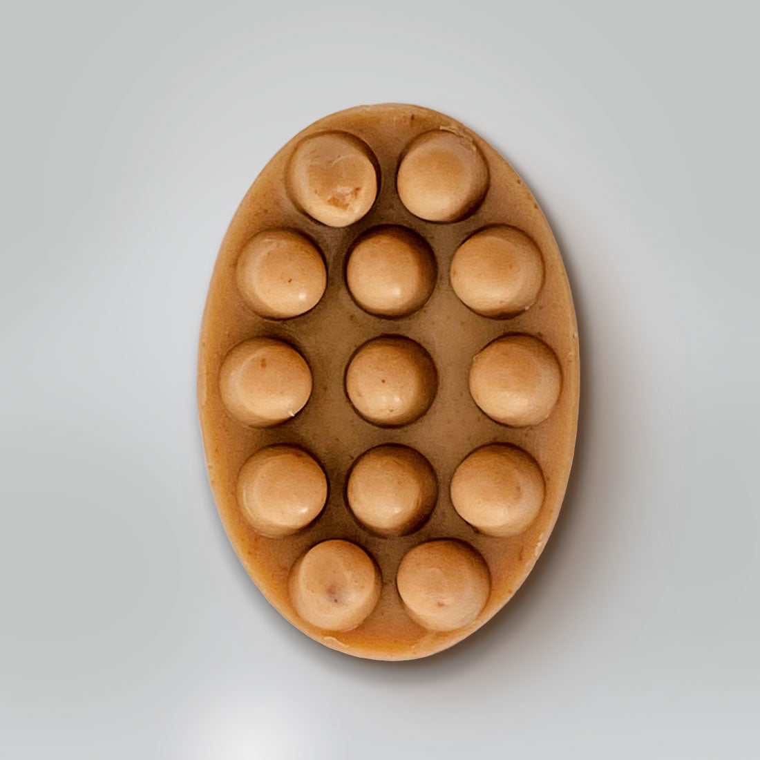 Shampoo en barra para mascota con puntas de masaje